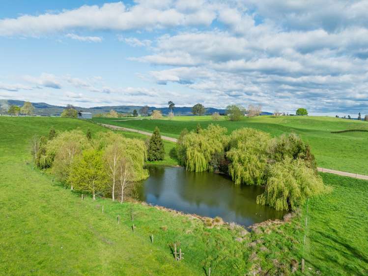 52 Kerr Road, RD 3, Te Poi Matamata_17