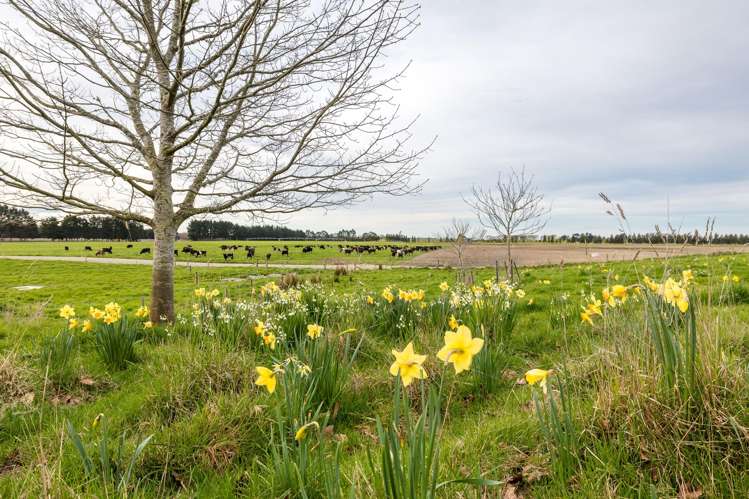229 Waihao Back Road Waimate_23