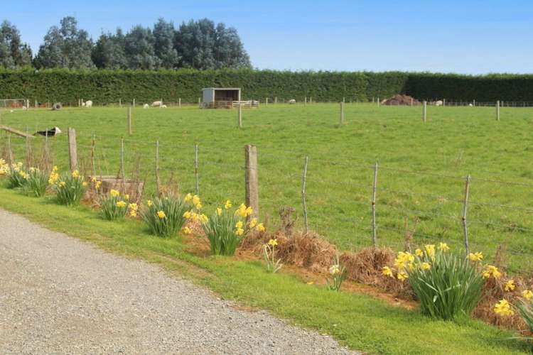 96 Wilcox Road Seaward Bush_15