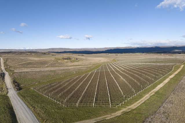 Lot 107 McArthur Road, Mount Dunstan Estate Alexandra_3