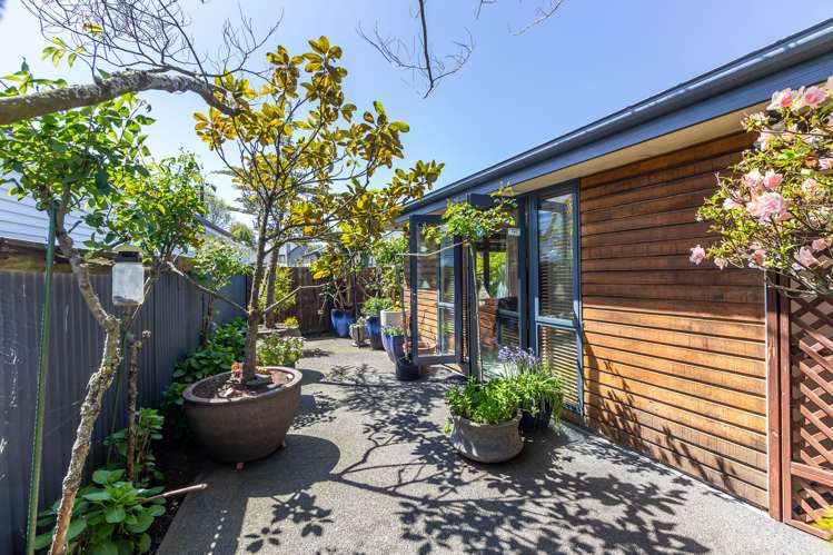 15 Mary Street Papanui_9