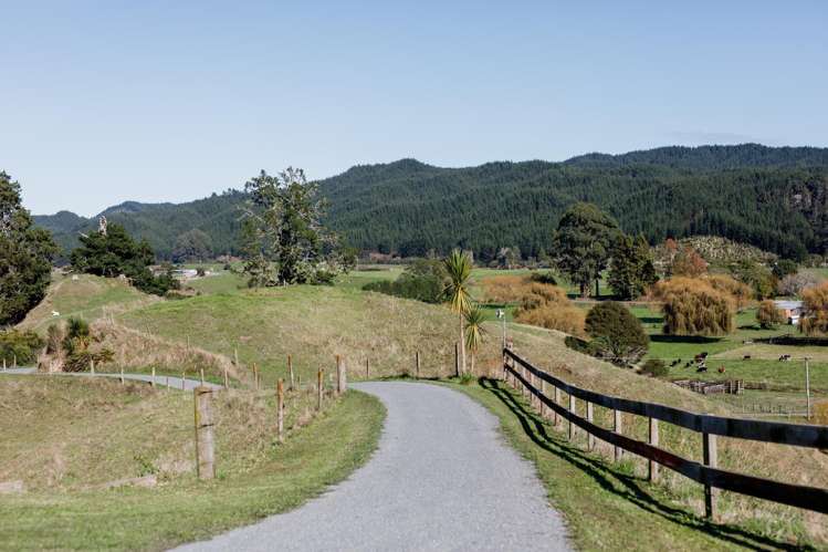 113C Downard Road Awakeri_17