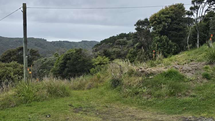 540b Medland Road Great Barrier Island_21