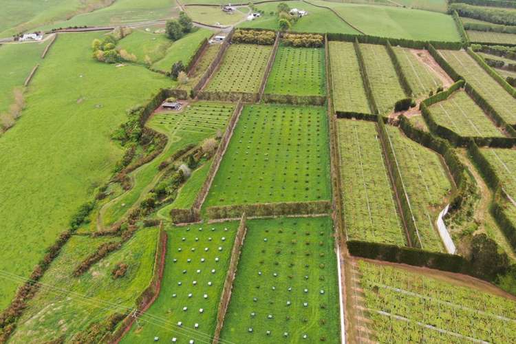 211 Pukekauri Road Waikino_13