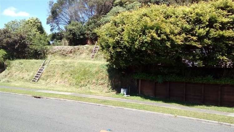 36 Roto Street Hurdon_7