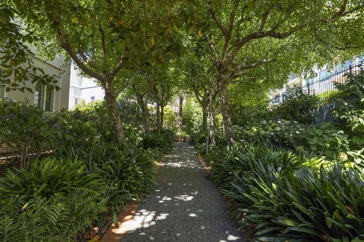 504/8 Middleton Road Remuera_10