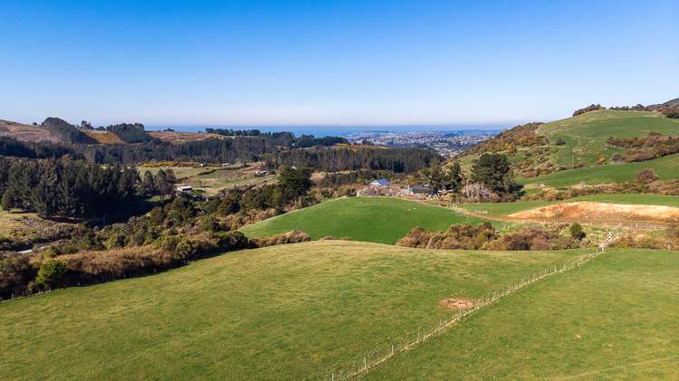 233 Leith Valley Road Leith Valley_10