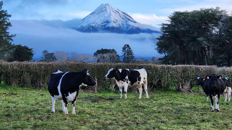 71 Lepper Road Inglewood_21