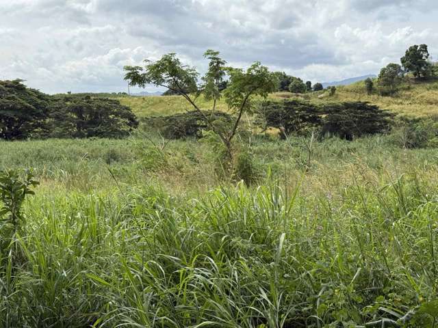 RARE OPPORTUNITY!!! FREEHOLD AGRICULTURAL LAND