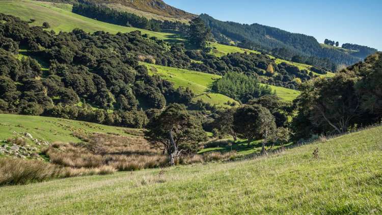 168-240 Purau Port Levy Road Purau_19