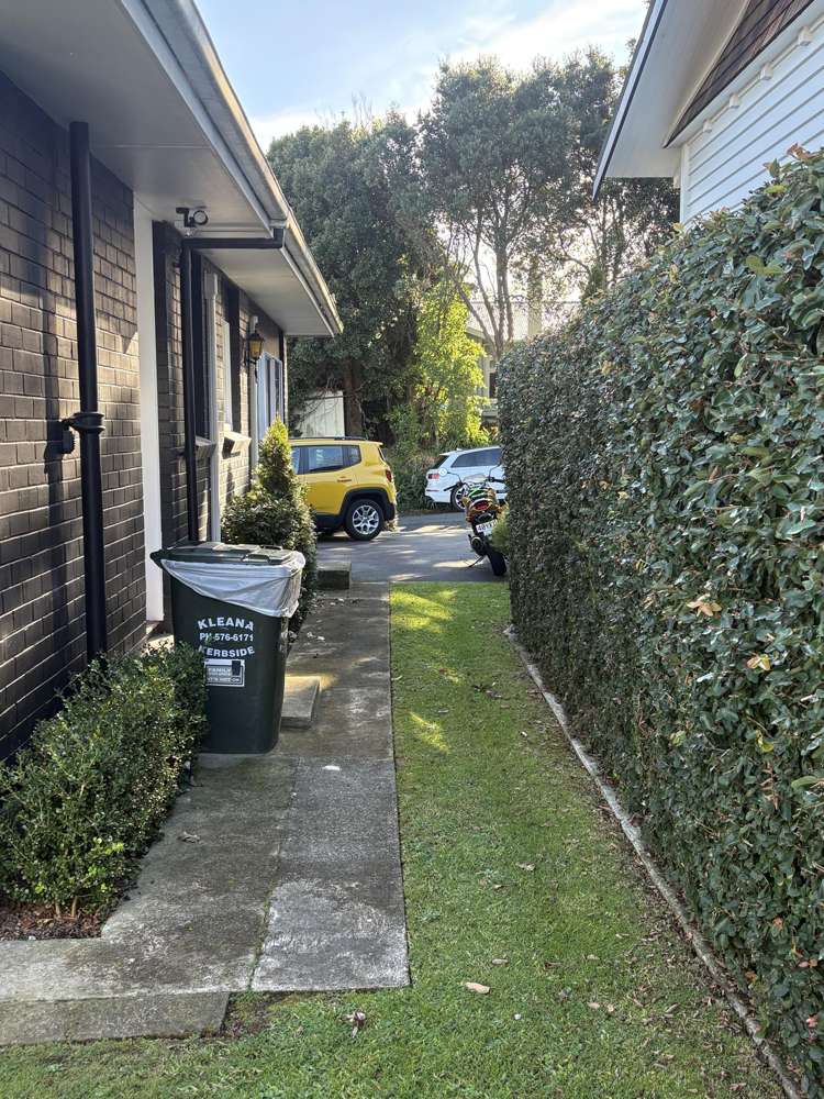 142 Spring Street Tauranga_9