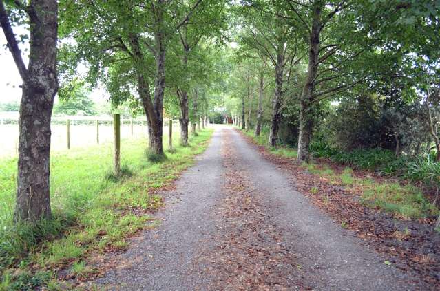 64 Bridge St Onga Onga_2