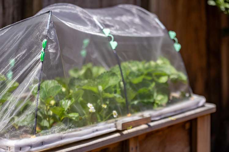 21B Storey Avenue Forest Lake_18