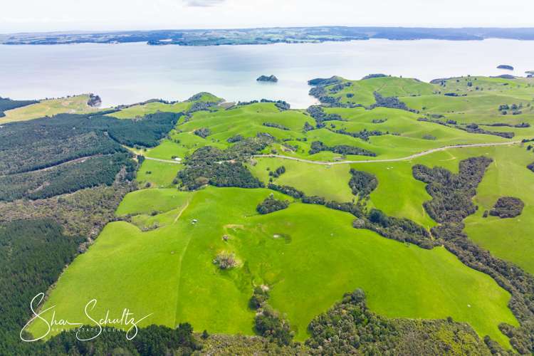 1509 Tinopai Road Tinopai_10