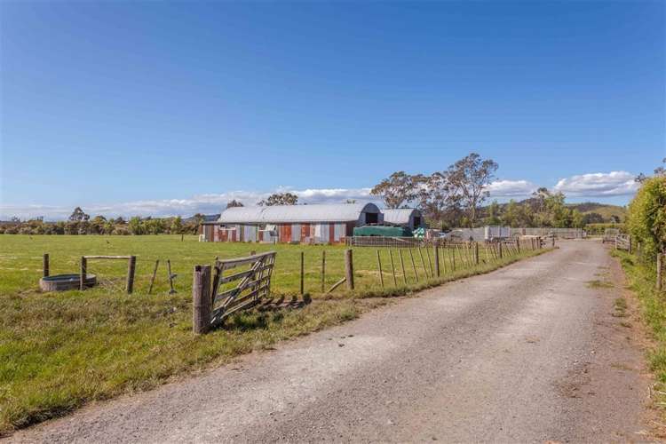 68 Parkhurst Road Helensville_17
