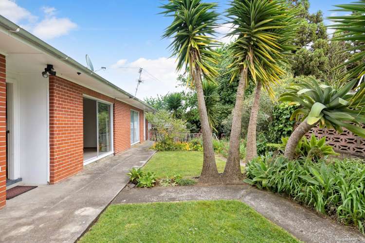 2/874a Dominion Road Mount Eden_9