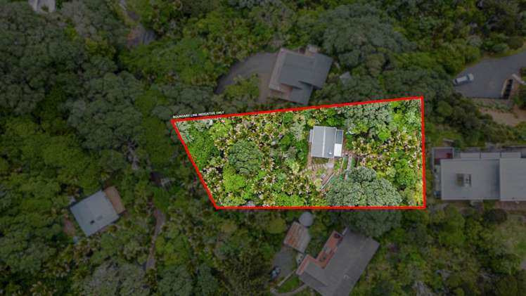 5 Sylvan Glade Piha_8