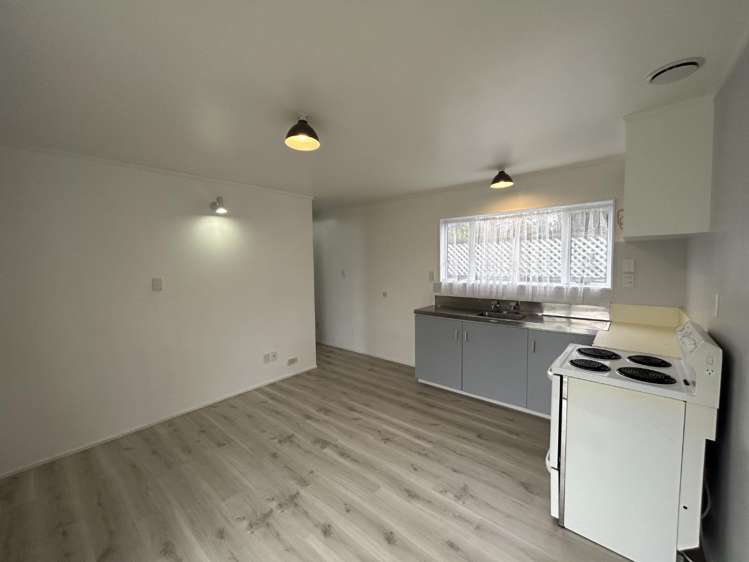 38A Abbotsford St Whitiora_6