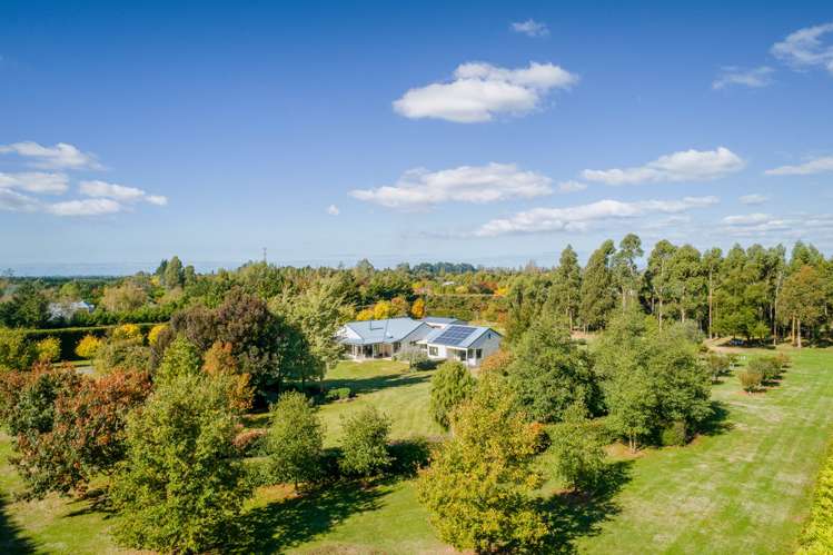 79 Mount Thomas Road Fernside_16