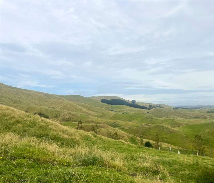 2580 Pourerere Road Central Hawkes Bay Coastal_42