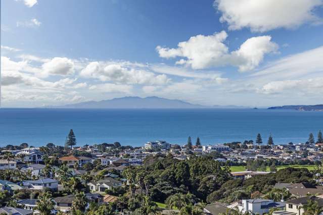 15 Maire Road Orewa_1