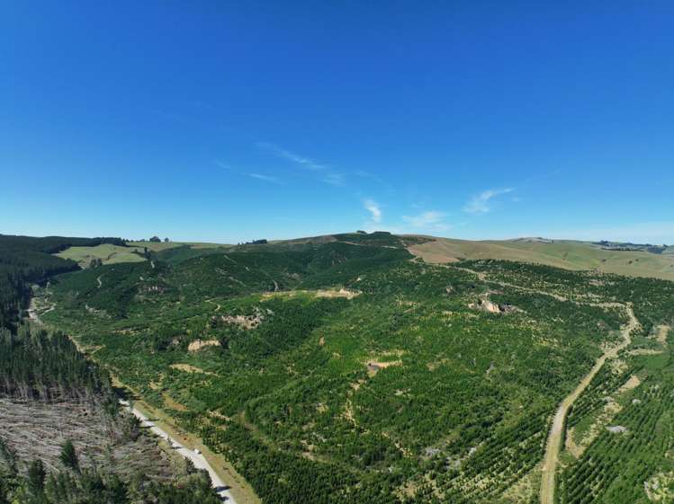 Waitahuna Gully Road Waitahuna Gully_7