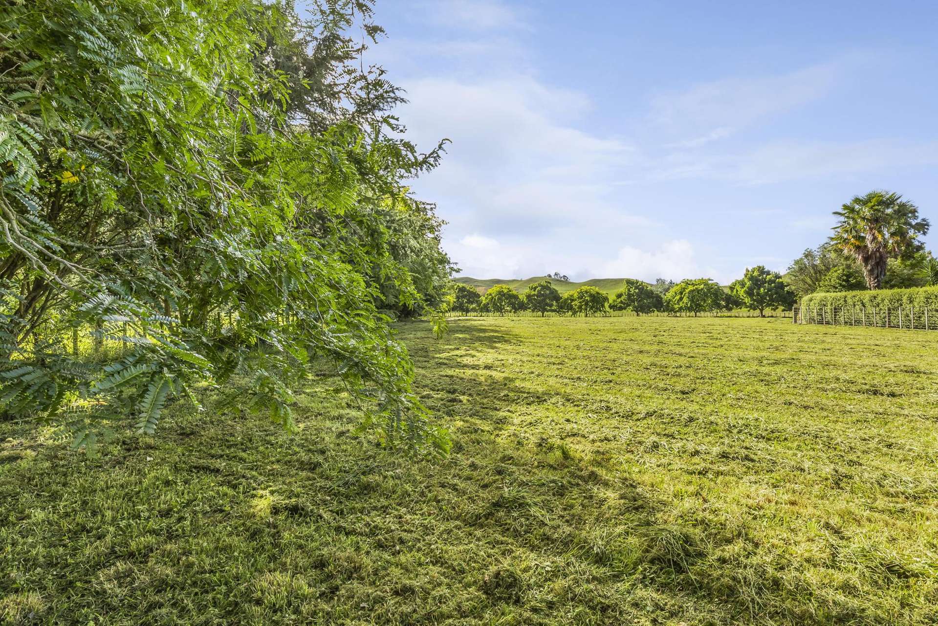 2/196 Flume Road, Cambridge Te Miro_0