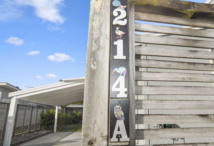 214a Casement Road Whangamata_30