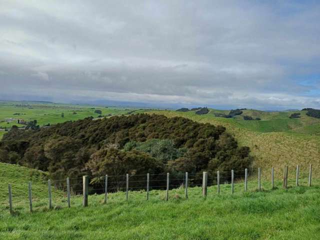 In Zone for Hauraki College and zero covenants