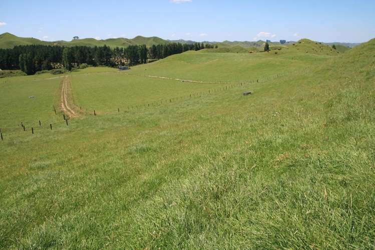 145 Bayly Road Huinga_13