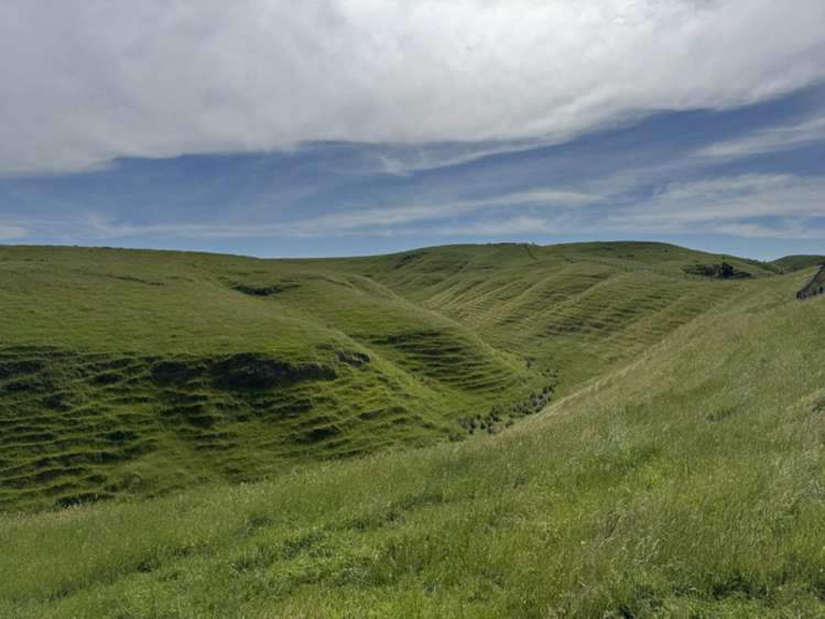 302 Bruce Road Turakina_17