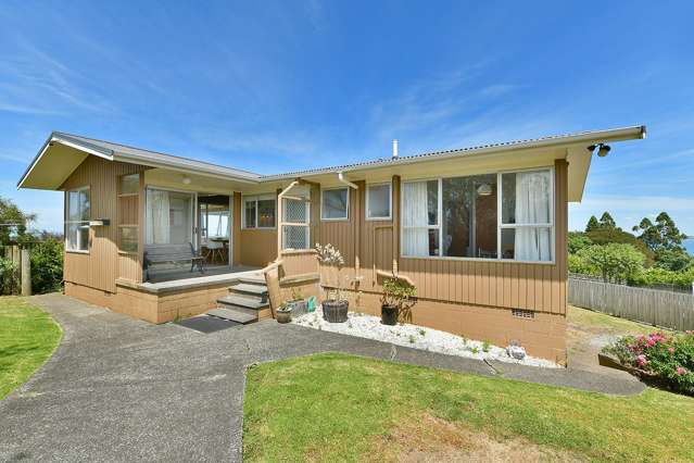 113 Roberts Road Matakatia_1