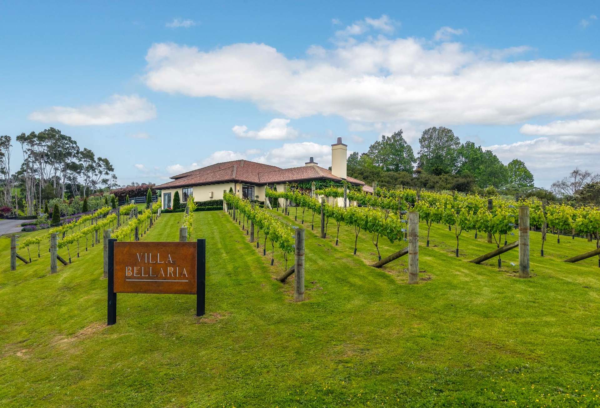 61A Whitford Park Road Whitford_0