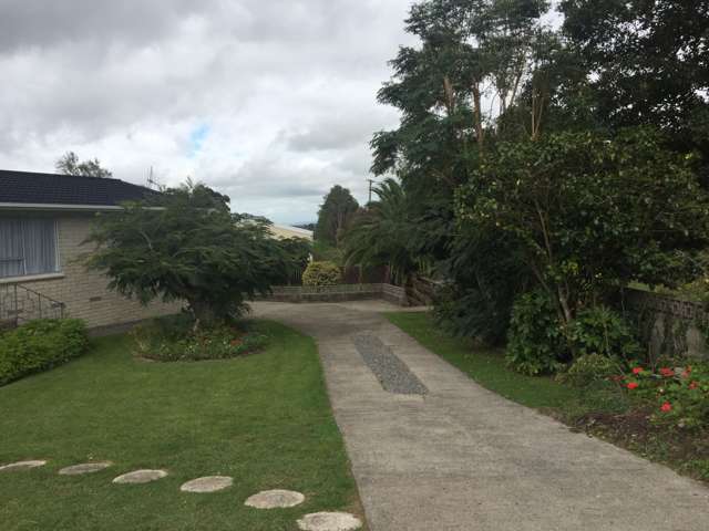 113 Centennial Avenue Te Aroha_1