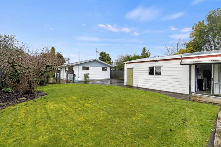 7 Pain Street Bulls_16