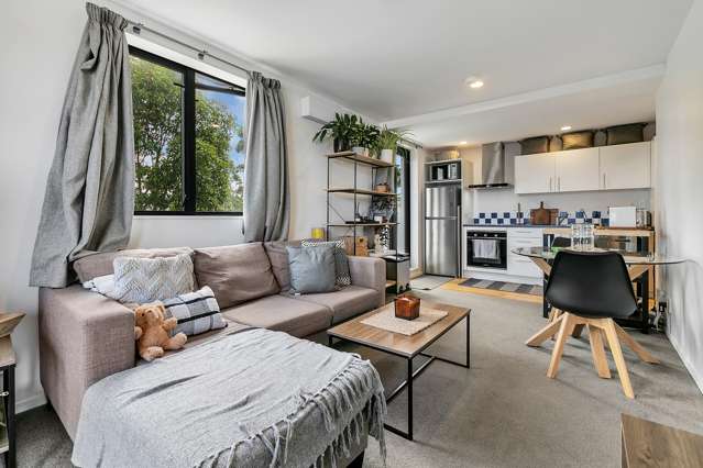 2n/250 Richmond Road Grey Lynn_1