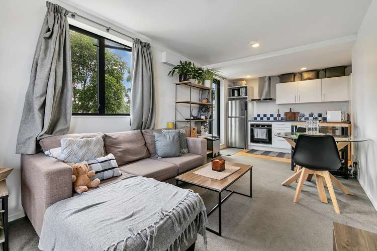 2n/250 Richmond Road Grey Lynn_1