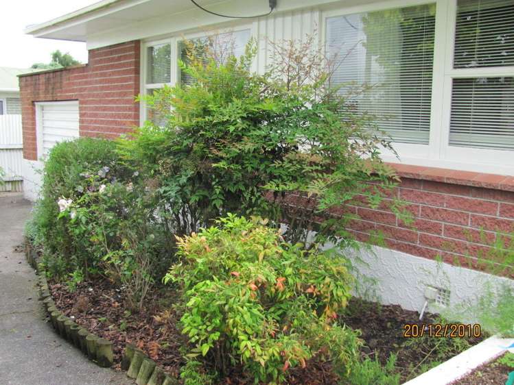 24 Mason Avenue Pukekohe_5