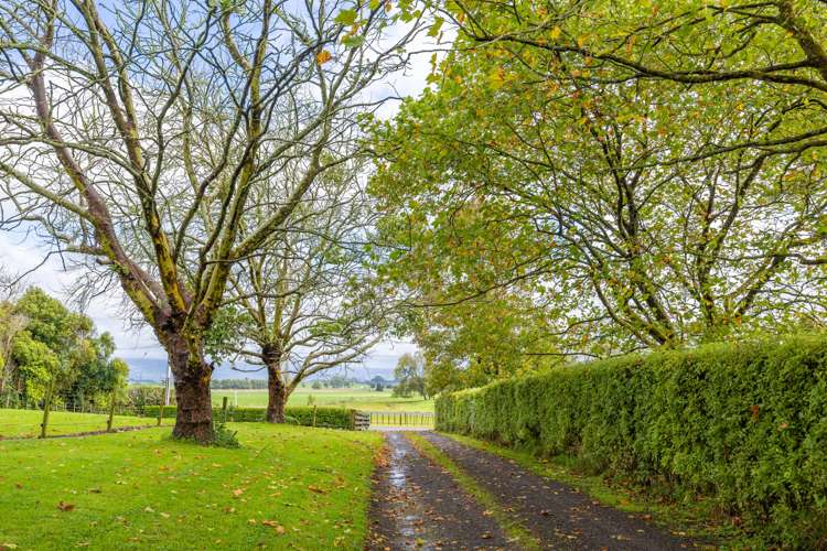 2/6 Goile Road Ngahinapouri_14