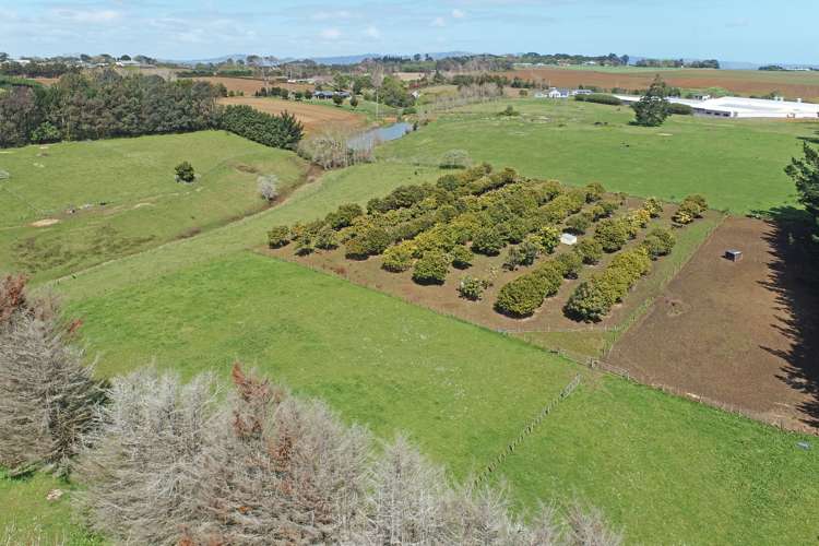 87 Pukeoware Road Waiuku_32