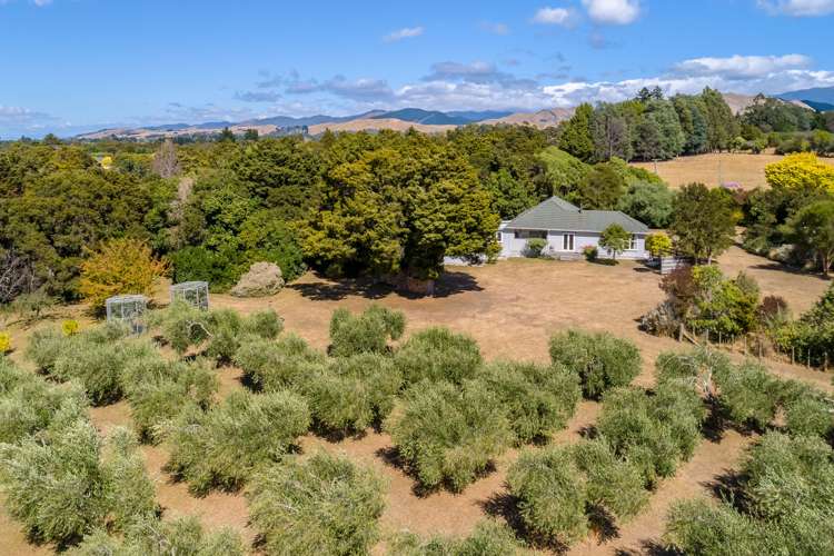 17 Tararua Drive Upper Plain_7