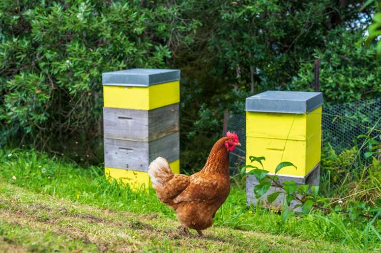 19 Turiapua Lane Parua Bay_45