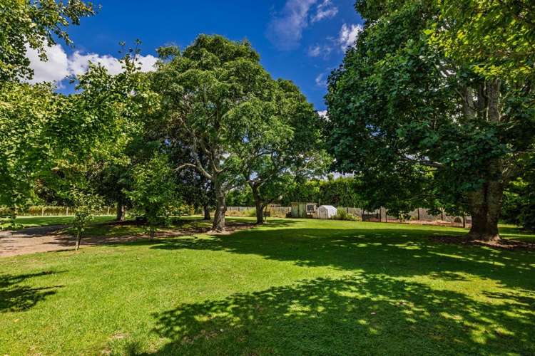 1369 State Highway 10 Kerikeri_34