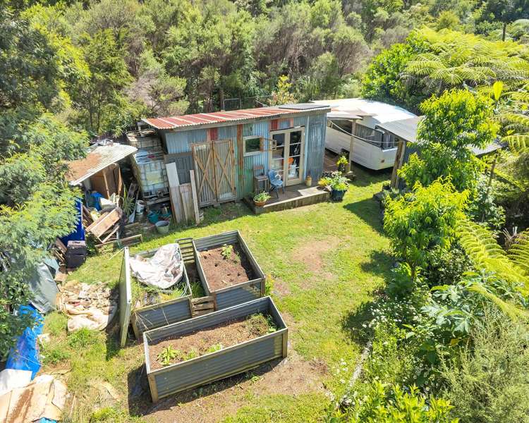 Ohiwa Loop Road Waiotahi_5