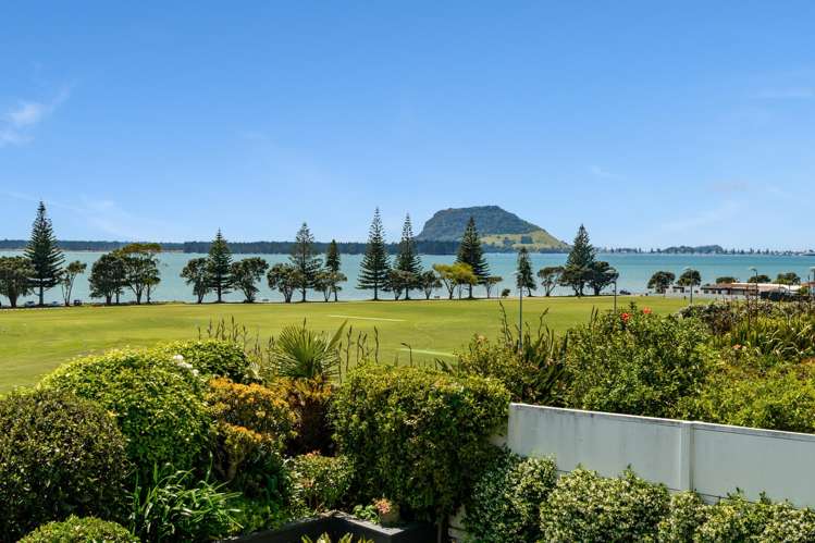 131 Waratah Street Matua_8