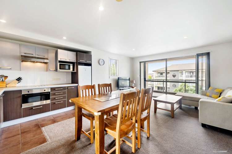 100c Michael Jones Drive Flat Bush_0