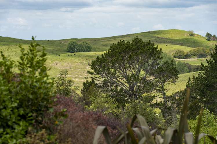 85c Te Pahi River Drive Paparoa_37