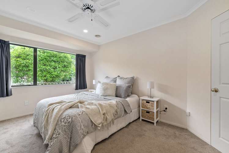 12a Willmott Place Springfield_10