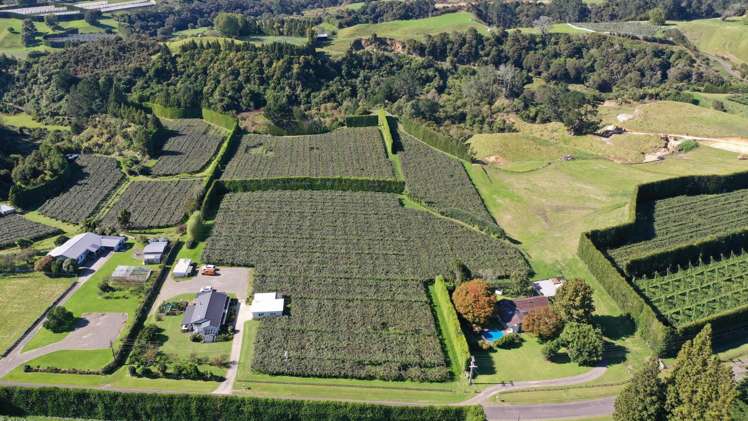 217 Maungarangi Road Te Puke_13