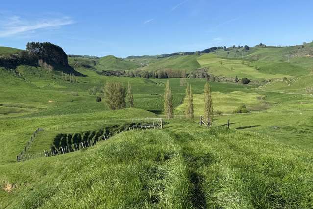 161 Veale Road Otorohanga_3